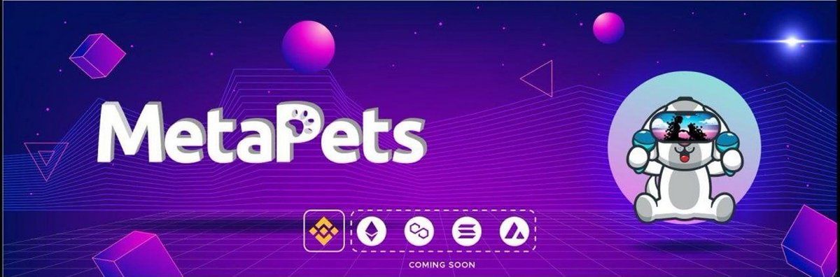 MetaPets: Own a Fur-ever Pet for the MetaVerse