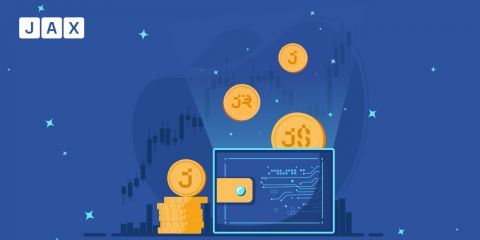 How to Get the Most Out of Your Stablecoins with Jax.Network