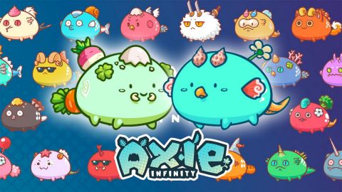 Axie Infinity makes powerful addition to crypto network