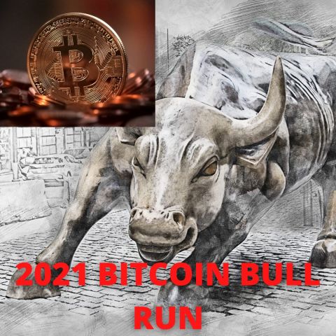 Top 5 Bitcoin Predictions for this Bull Run