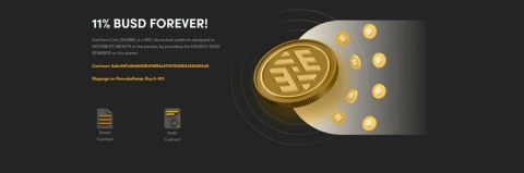 EverEarn Platform Launches, Aims To Pay Highest BUSD Rewards Ratio