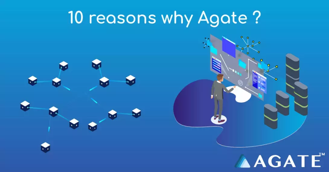 10 reasons why Agate wins hands down over single solutions like PundiX, TenX, eCoinmerce and Request Network