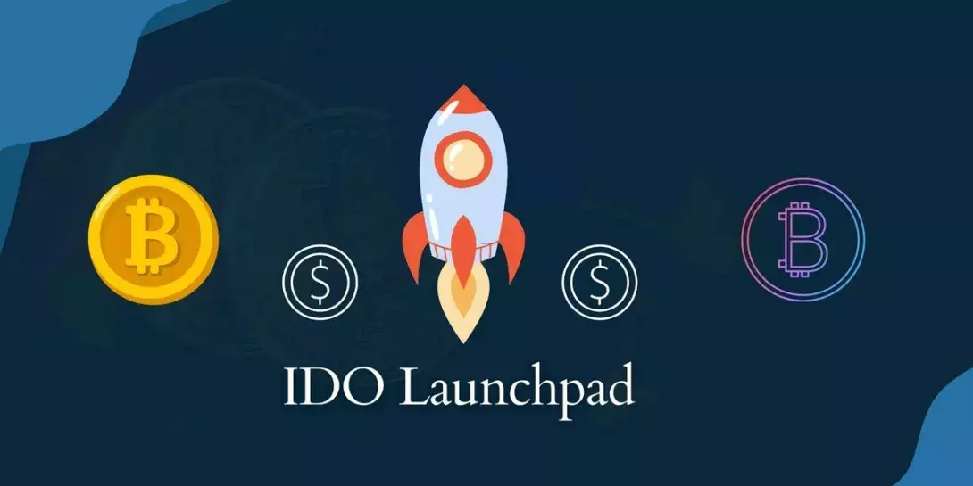 What is an IDO Platform and How to Participate in One?