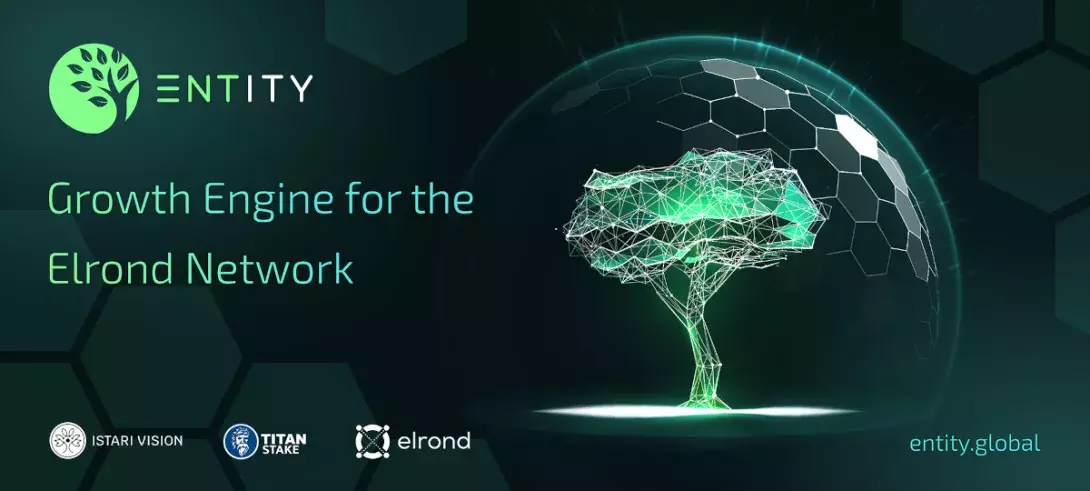 Entity launches to kickstart the DeFi scene on Elrond’s ecosystem
