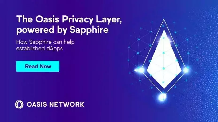 A Game-Changer for Data Privacy and Security:Oasis Privacy Layer Powered by Sapphire