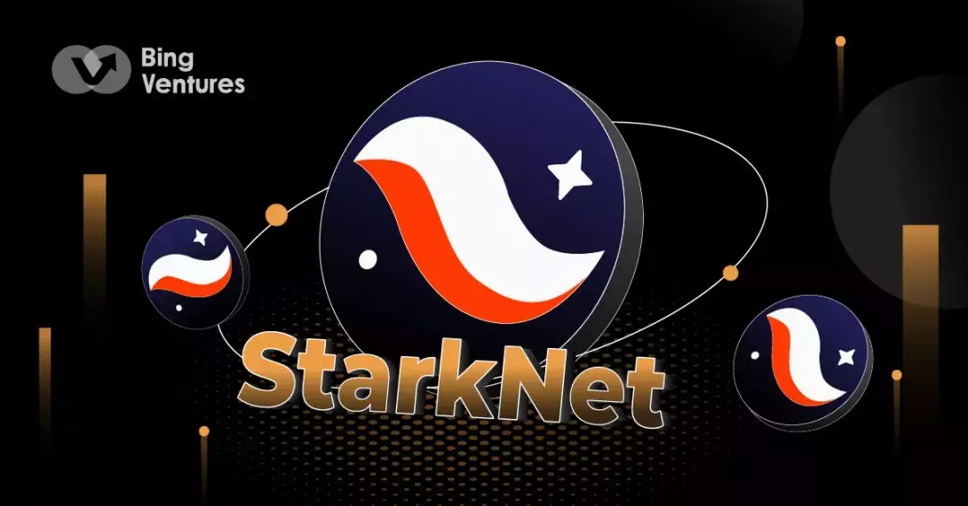 Why is the StarkNet Ecosystem So Explosive Recently?