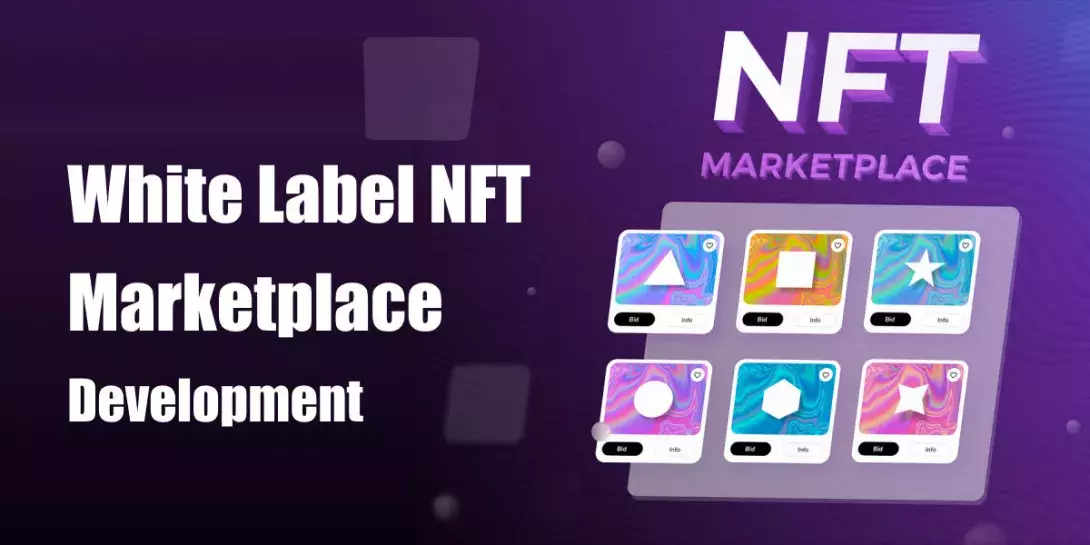 White label NFT Marketplace Development to Build an NFT Marketplace