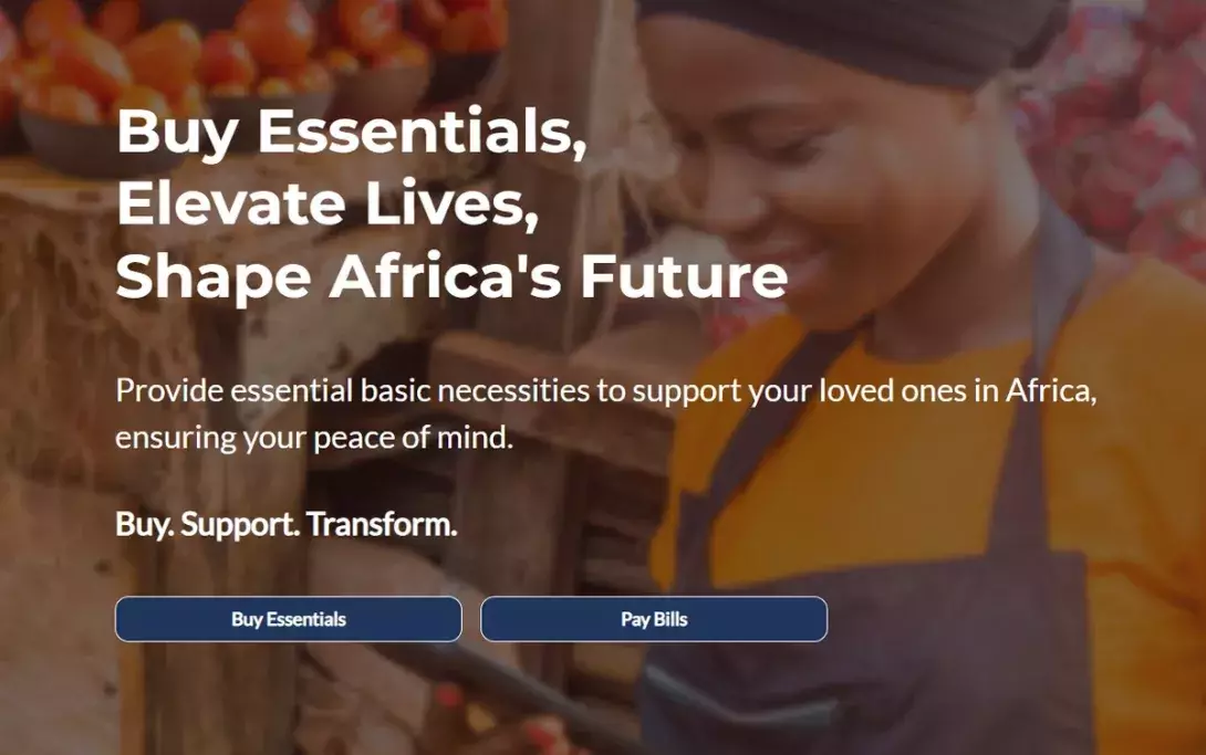 DizzitUp - Revolutionising Africa's Economic Landscape