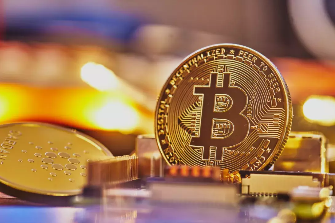 Diverse Cryptocurrencies Linked to Bitcoin: Decoding Digital Gold