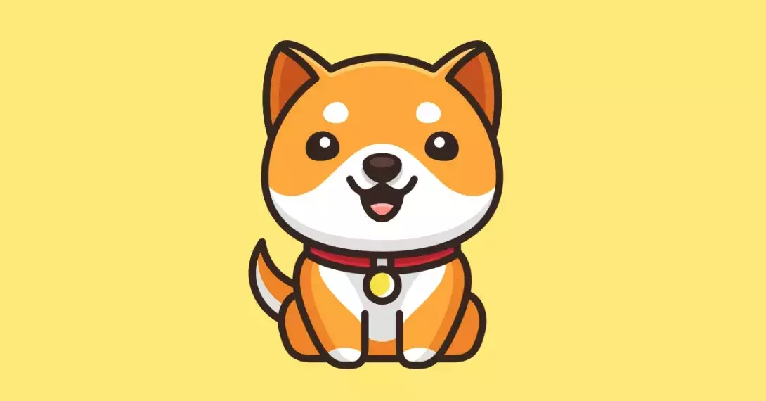 Things to Keep In Mind before Purchasing a Baby Doge Coin
