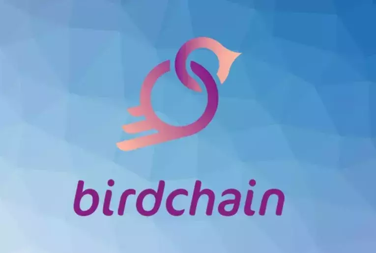 Former Member of IOTA Foundation & Dcntral.ai & E7 Ventures Founder Joins Birdchain as Advisor