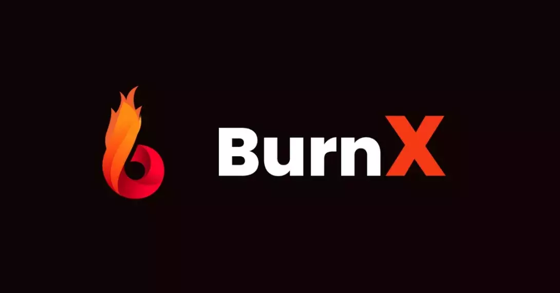 Burn-X: A New HyperDeflationary Token Ready To Revolutionize The Crypto Industry With Its Unique Token Burn Rules