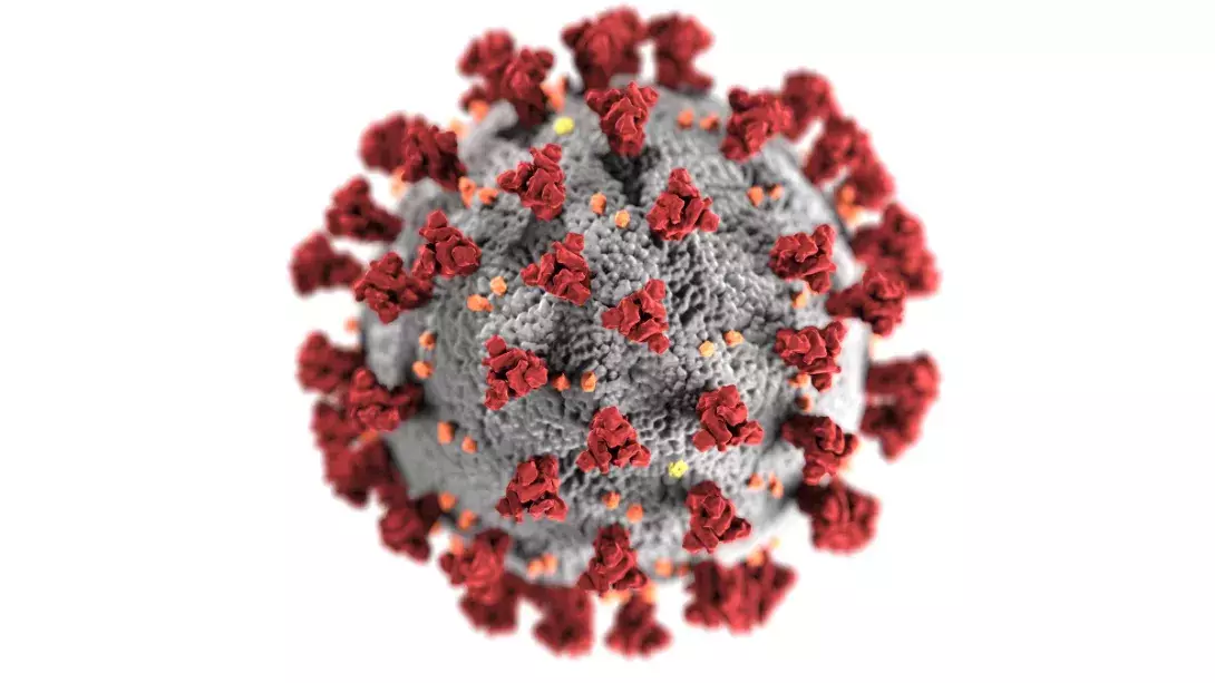 SARS-CoV-2  illustration, created at the Centers for Disease Control and Prevention (CDC)