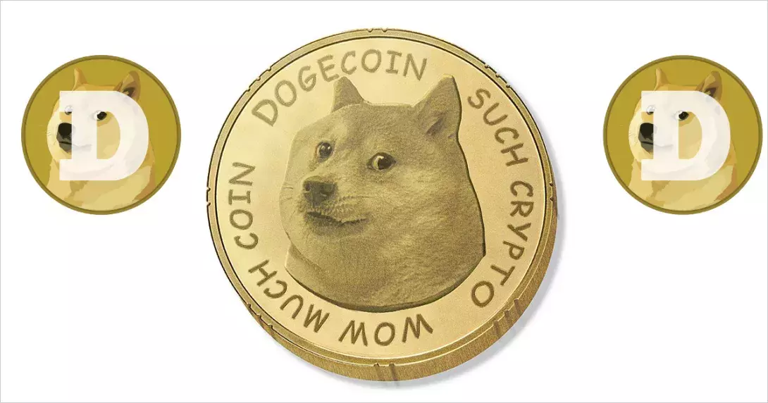 Dogecoin is the new GameStop – Are investors going to get burned?