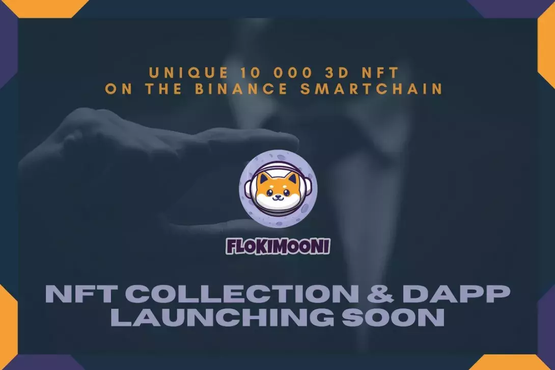 FlokiMooni's Ecosystem is Heating Up - NFT Collection Launching Soon