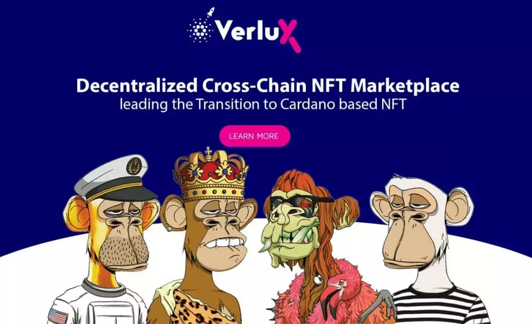 Verlux Cross-Chain NFT Marketplace seed sale fills up 30% within hours