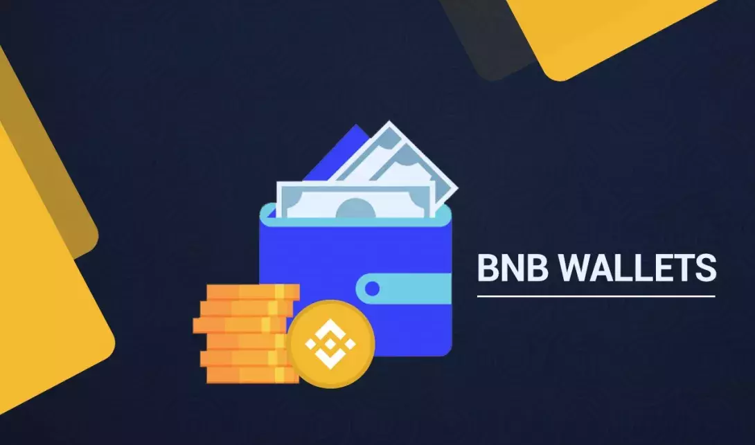 Best wallets for BNB coins: options overview